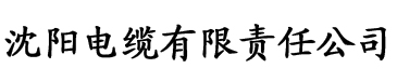 91香蕉 污电缆厂logo